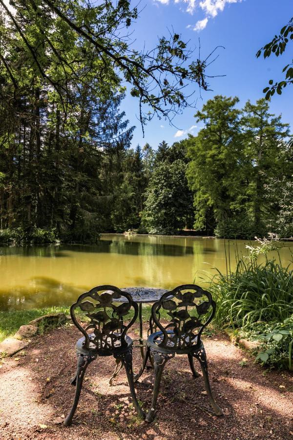 Hotel Dammenmuehle Lahr  Zewnętrze zdjęcie