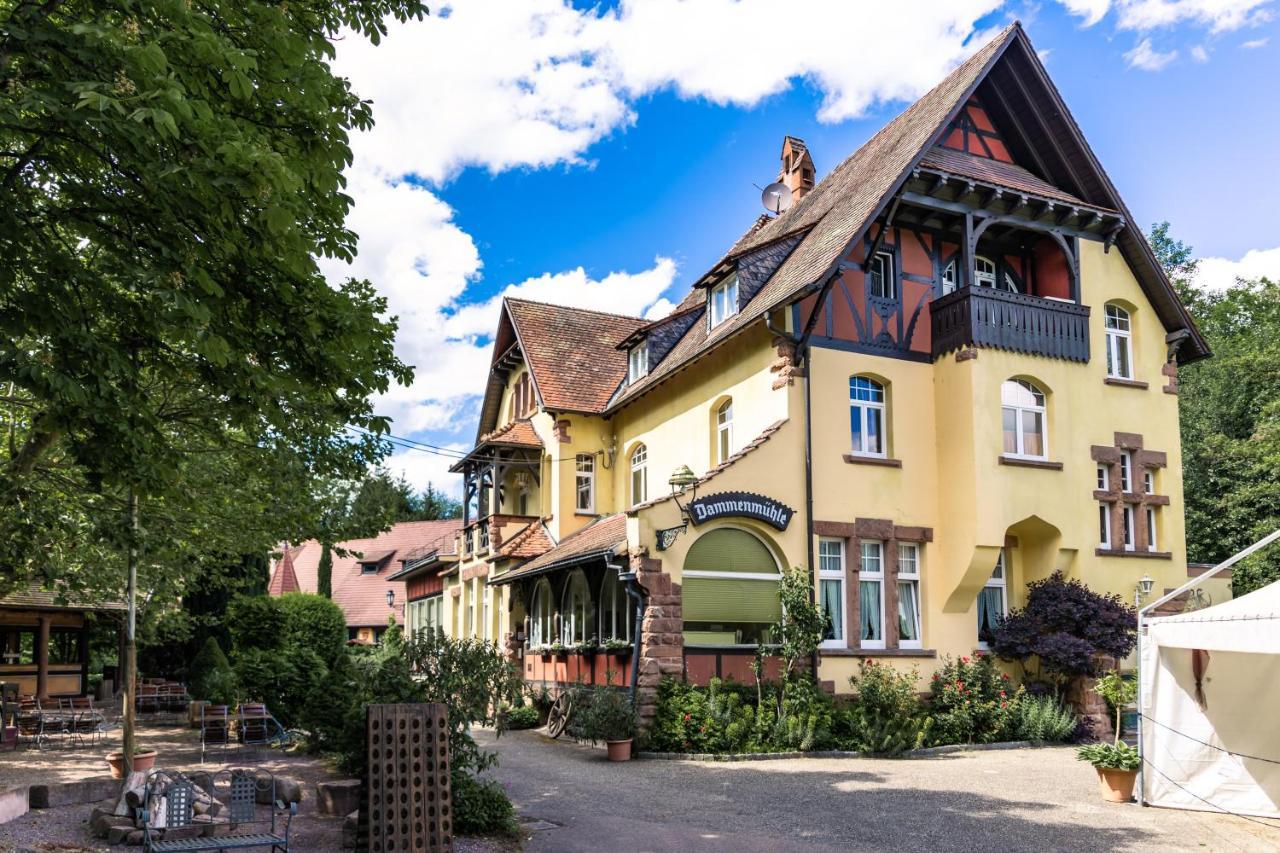 Hotel Dammenmuehle Lahr  Zewnętrze zdjęcie