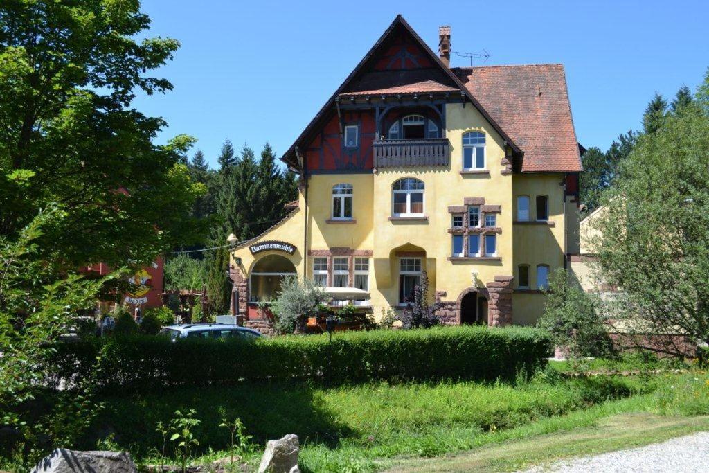 Hotel Dammenmuehle Lahr  Zewnętrze zdjęcie